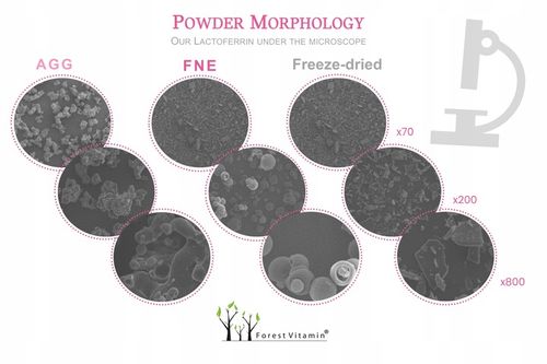 LAKTOFERYNA LACTOFERRIN 95% 60 kaps PERFEKCYJNA JAKOŚĆ na Arena.pl