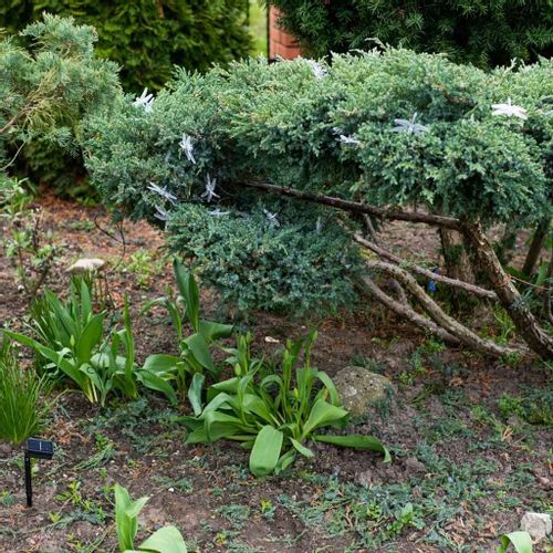 Lampki ogrodowe solarne ważki 6,5m 30LED multikolor na Arena.pl