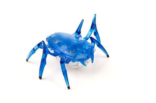 HEXBUG Skarabeusz na Arena.pl