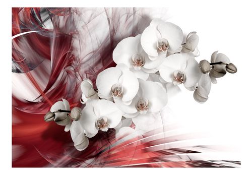 Fototapeta - Orchidea w czerwieni 100x70 na Arena.pl