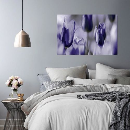 Deco Panel, Fioletowe tulipany 40x30 na Arena.pl