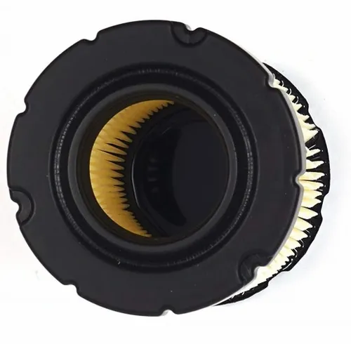 Zestaw serwisowy silnika Briggs Stratton 992243 do traktorka mtd rn 145 165 na Arena.pl