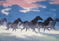 Plakat 66,5x46,5cm Wolność i Swoboda