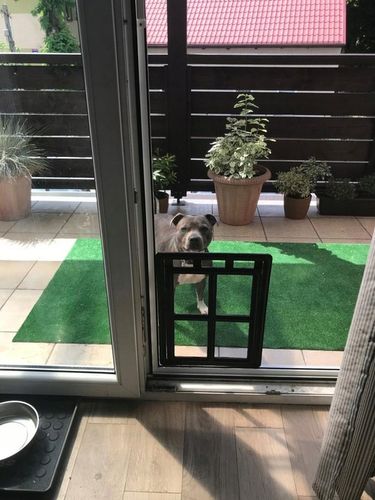 DRZWICZKI moskitiery dla kota i psa na Arena.pl