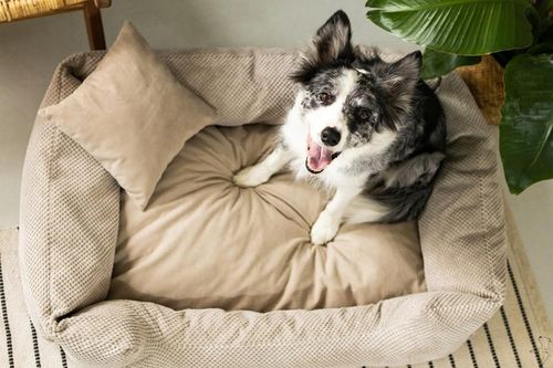 Legowisko kanapa Premium posłanie dla psa sofa kojec 100x70 cm na Arena.pl