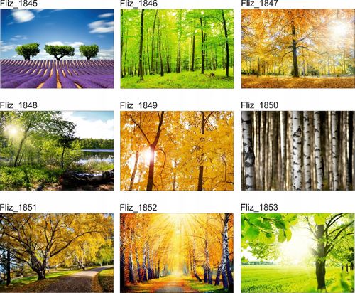 FOTOTAPETA KRAJOBRAZ DREWNIANE SCHODKI MOSTEK na Arena.pl