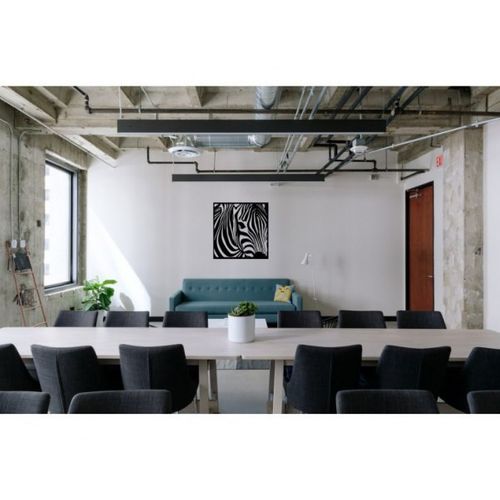 Obraz Zebra na Arena.pl