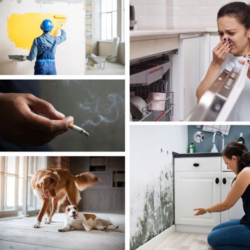 OZONATOR GENERATOR OZONU OCZYSZCZACZ DO POWIETRZA 60 000 mg/h +TIMER 110W na Arena.pl