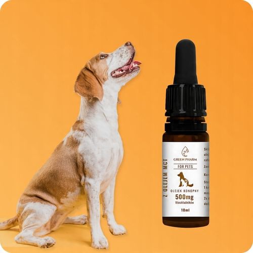 Olejek CBD dla Psa i Kota 5% 500 mg | Weterynaryjny | Bez THC | Bezsmakowy na Arena.pl