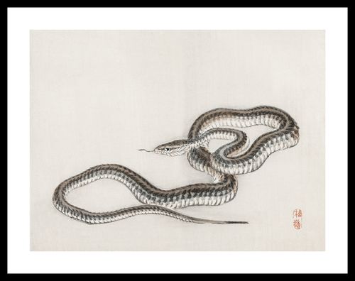 Plakat 40x30cm Snake, Kōno Bairei na Arena.pl