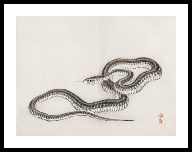 Plakat 40x30cm Snake, Kōno Bairei zdjęcie 3
