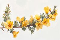 product-compare-59412410