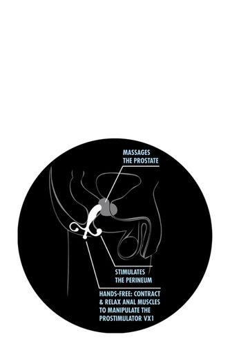 masażer prostaty blush silikonowy 13 cm na Arena.pl