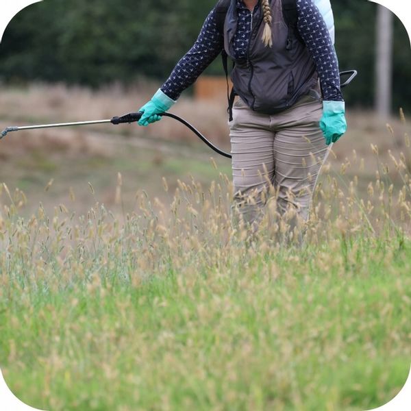 2x ROUNDUP 360 PLUS GLIFOSAT RANDAP ŚRODEK CHWASTY CHWASTOBÓJCZY 1L zdjęcie 6