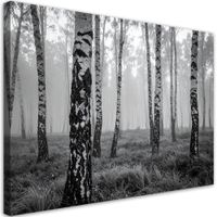 Obraz do salonu sypialni kuchni biura loftu, Las brzozowy czarno
