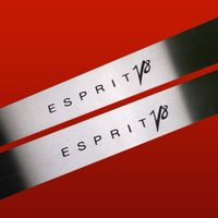 Listwa progowa LOTUS ESPRIT V8 Stal nierdzewna 304 mat 2szt