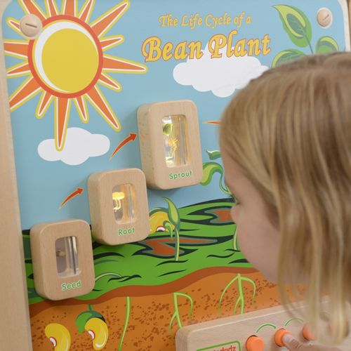 MASTERKIDZ Cykl Życia Rośliny Ścienna Tablica Edukacyjna Flex na Arena.pl