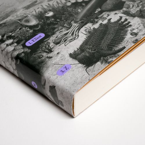 Z rzeczy pierwszych na Arena.pl