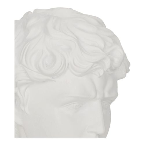 Dekoracja głowa Dawida biała na Arena.pl