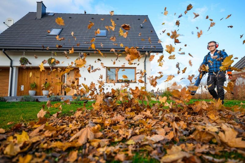 CEDRUS DM05 PRO PROFESJONALNY ODKURZACZ  DMUCHAWA SPALINOWA OGRODOWA DO LIŚCI - OFICJALNY DYSTRYBUTOR - AUTORYZOWANY DEALER CEDRUS zdjęcie 37