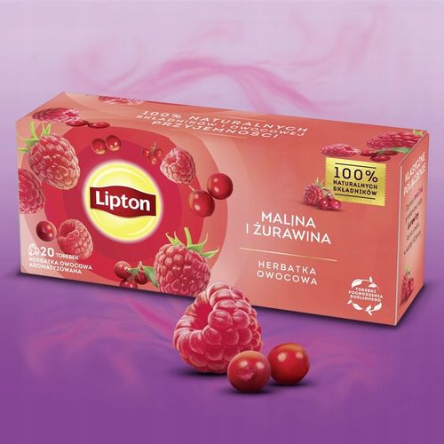 Zestaw Lipton Herbatki owocowe wszystkie smaki 5x20 torebek + PUSZKA GRATIS na Arena.pl