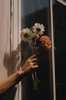 product-compare-59366758