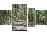 OBRAZ JAPOŃSKA ŚCIEŻKA PRZEZ LAS