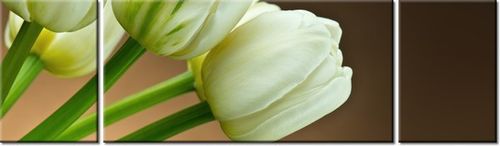 90CM 80 OBRAZ 3 ELEM BIAŁE TULIPANY ŚCIENNY na Arena.pl