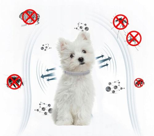 OBROŻA DLA PSA NA PCHŁY KLESZCZE 8 MSC UNIWERSALNA na Arena.pl