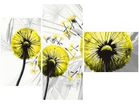 100CM 80 OBRAZ 3 ELEM DMUCHAWCE ŻÓŁCI ŚCIENNY