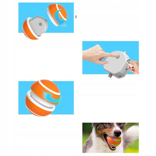 PIŁKA dla PSA LED USB Pilot Interaktywna RUCHOMA na Arena.pl