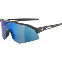 Okulary Alpina Sonic HR Q-lite