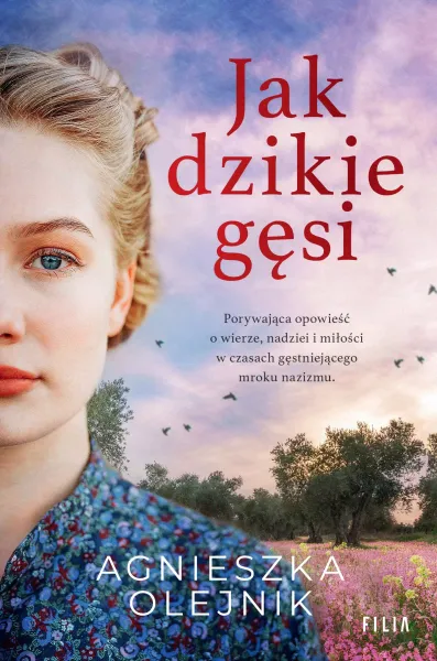 Jak dzikie gęsi zdjęcie 1
