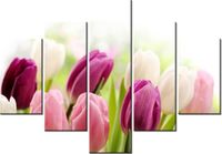 70 100CM OBRAZ 5 ELEM SOCZYSTE TULIPANY DRUK PŁÓTNO