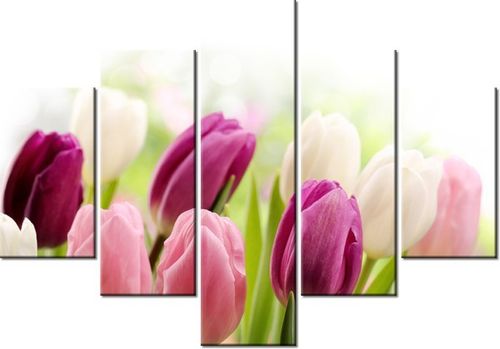 70 100CM OBRAZ 5 ELEM SOCZYSTE TULIPANY DRUK PŁÓTNO na Arena.pl