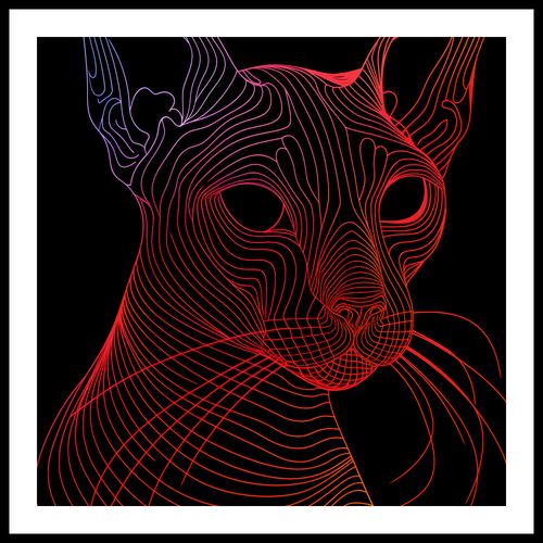 Plakat 50x50cm Cyfrowa Kocica na Arena.pl