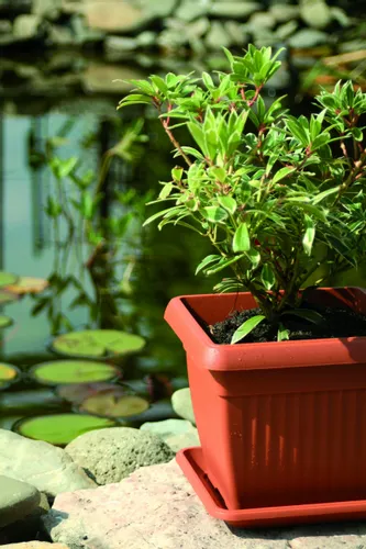 Doniczka kwadratowa Terra DKWT24 z podstawką | Antracyt, Wymiary 24x24x20 cm, Prosperplast na Arena.pl