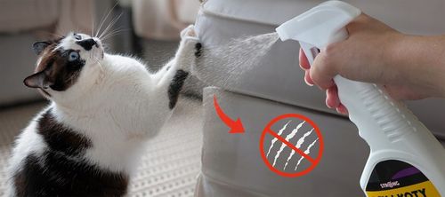 NATURALNY SPRAY ZNIECHĘCAJĄCY KOTY ODSTRASZACZ KOTÓW I PSÓW STRONG 500 na Arena.pl