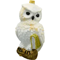 Bombka choinkowa szklana: Sowa z księgą: biała