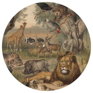 WallArt Okrągła fototapeta Animals of Africa, 142,5 cm