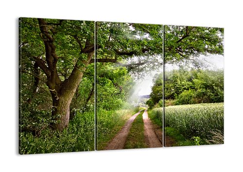 Obraz Na Płótnie - Las Pole Droga - 105X70 Cm - Ce105X70-2637 na Arena.pl