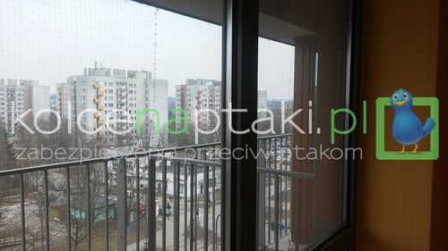 Siatka 3x4 przezroczysta dla kota, przeciw ptakom na Arena.pl