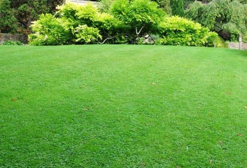 NIWELATOR TERENU RĘCZNY RÓWNIARKA TRAWNIKA KRETOWISK 90 x 30cm JAKOŚĆ na Arena.pl