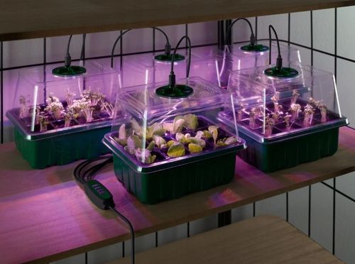 PARKSIDE 5x Zestaw do Uprawy Sadzonek LED 33 el. Timer 60 Miejsc, Akcesoria na Arena.pl