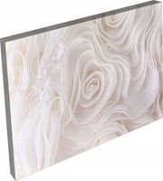 OBRAZ na płótnie do salonu sypialni kiwaty 120x80