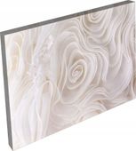 OBRAZ na płótnie do salonu sypialni kiwaty 120x80