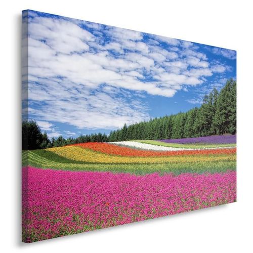 Obraz na płótnie - Canvas, Pola kwiatów 40x30 na Arena.pl