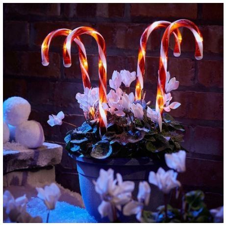 LAMPKI LED CUKIERKI LIZAKI 6SZT LED LASKA MIKOŁAJA 70CM CHOINKA SOLARNE na Arena.pl