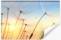 Fototapeta Do Jadalni DMUCHAWCE Wschód Słońca Natura Efekt 3D 450cm x 300cm