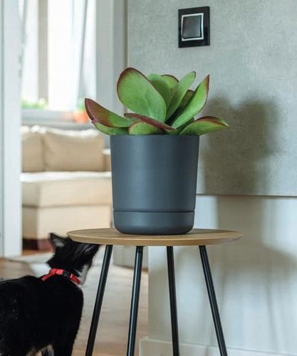 Doniczka okrągła Satina 25 z podstawką | Platyna na Arena.pl